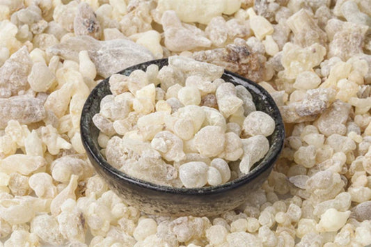 Premium Omani Frankincense(alliban aldhakri)